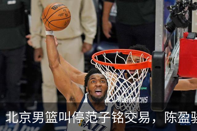 北京男篮叫停范子铭交易，陈盈骏收到高额报价，方硕留队概率提升