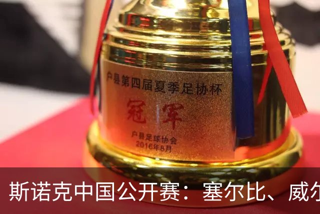 斯诺克中国公开赛：塞尔比、威尔逊晋级16强